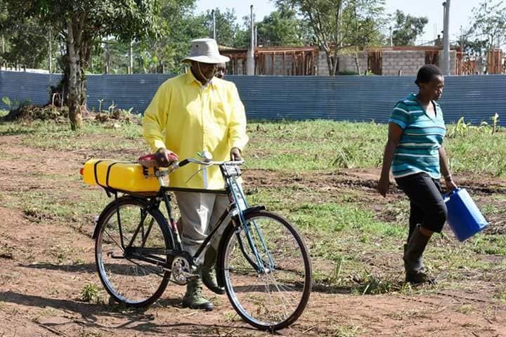 THE UGANDA FINANCIAL INSTABILITY
